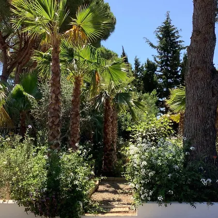 Kasbah Andaluz צ'יקלנה דה לה פרונטרה