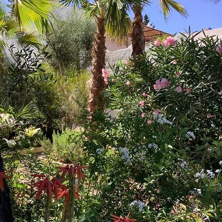 Kasbah Andaluz בית הארחה